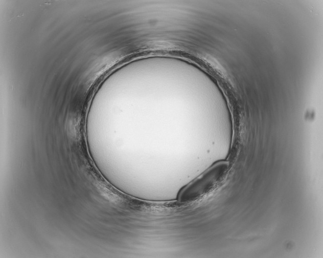 X0000094060873200711021443