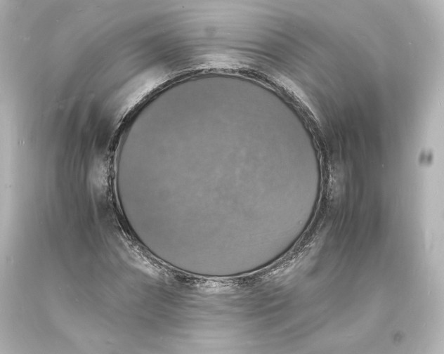 X0000094060874200711021443