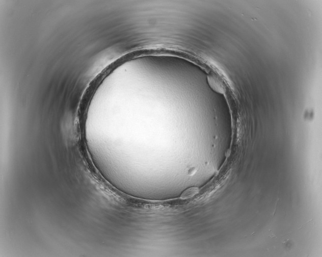 X0000094060876200711021443