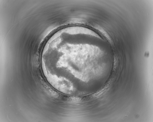 X0000094060878200711021443