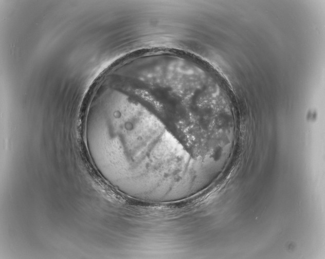 X0000094060879200711021443