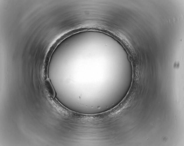 X0000094060880200711021443