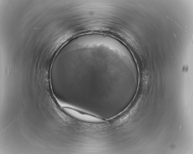 X0000094060881200711021443
