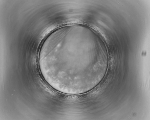 X0000094060882200711021443