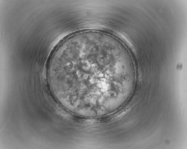 X0000094060883200711021443