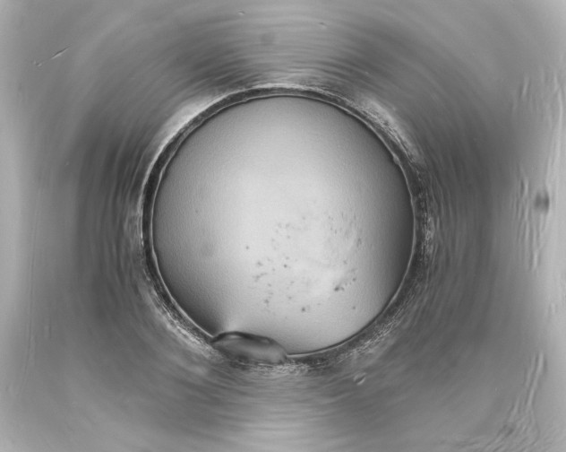 X0000094060884200711021443