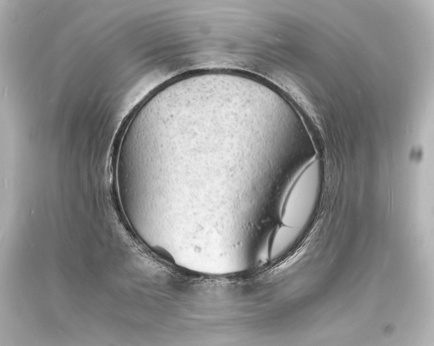 X0000094060885200711021443