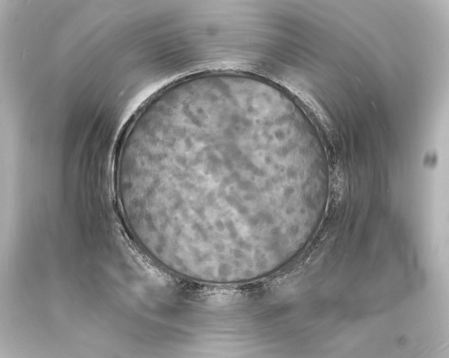 X0000094060886200711021443