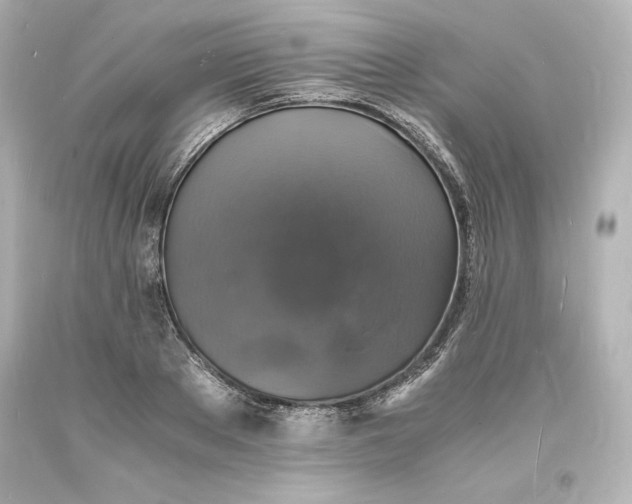 X0000094060889200711021443