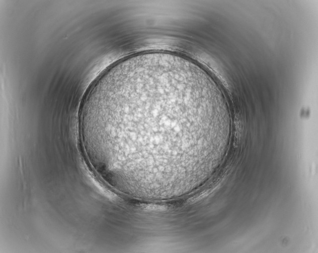 X0000094060890200711021443