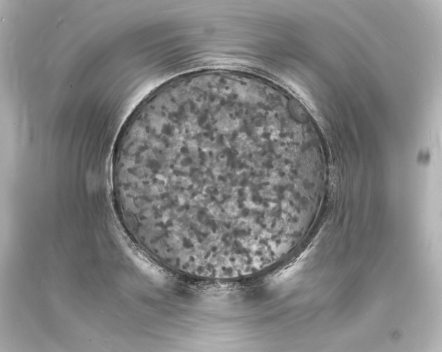 X0000094060891200711021443
