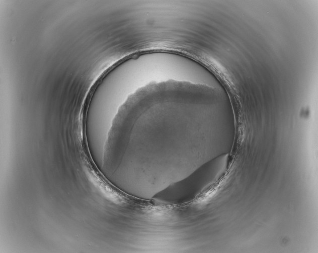 X0000094060892200711021443