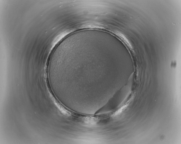 X0000094060893200711021443