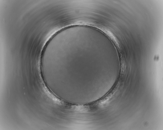 X0000094060896200711021443