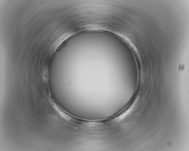 X0000094060897200711021443