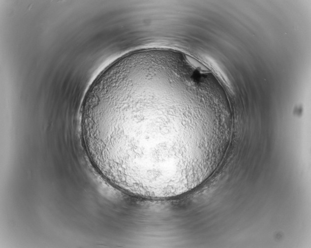 X0000094060900200711021443