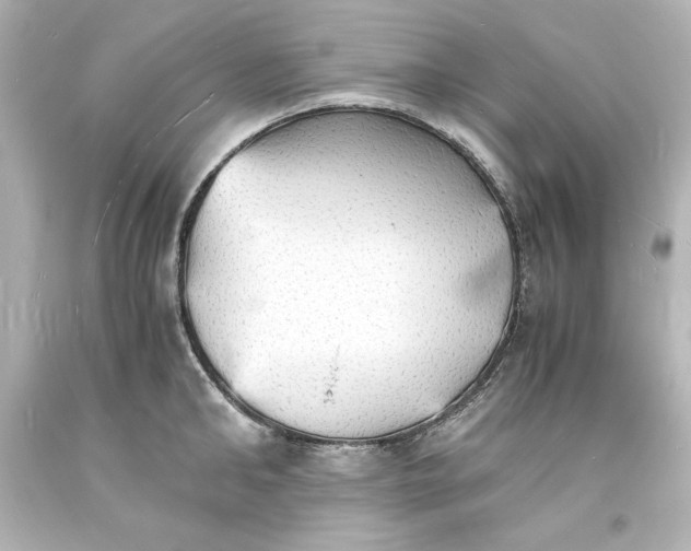 X0000094060902200711021443