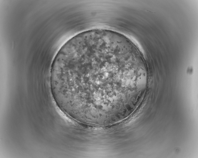 X0000094060903200711021443