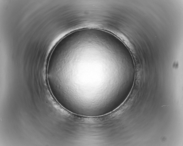 X0000094060904200711021443