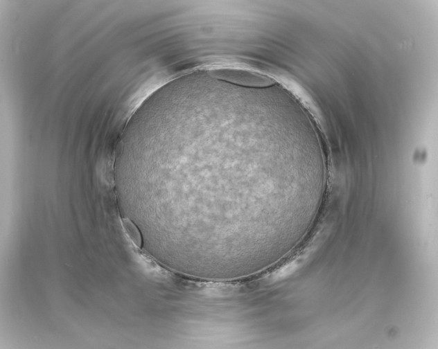 X0000094060905200711021443