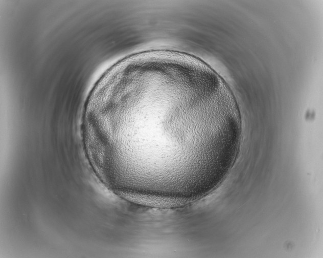 X0000094060912200711021442