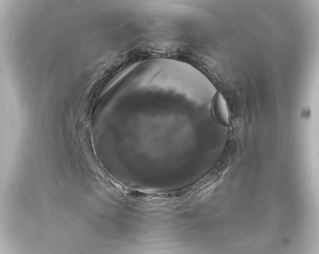 X0000094060913200711021442