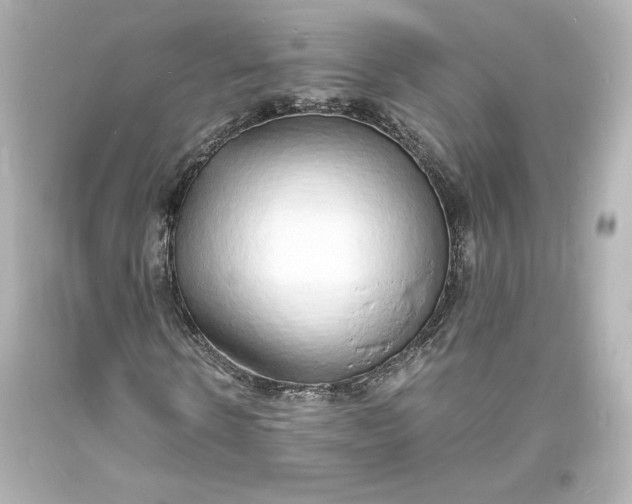 X0000094060914200711021442