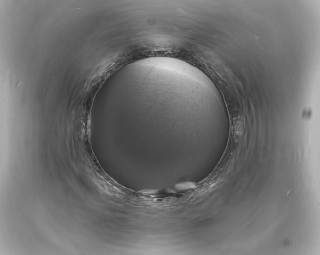 X0000094060916200711021442