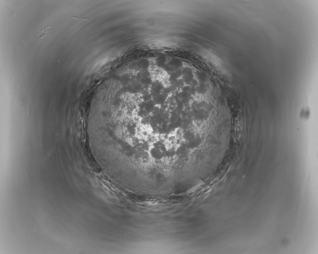 X0000094060917200711021442