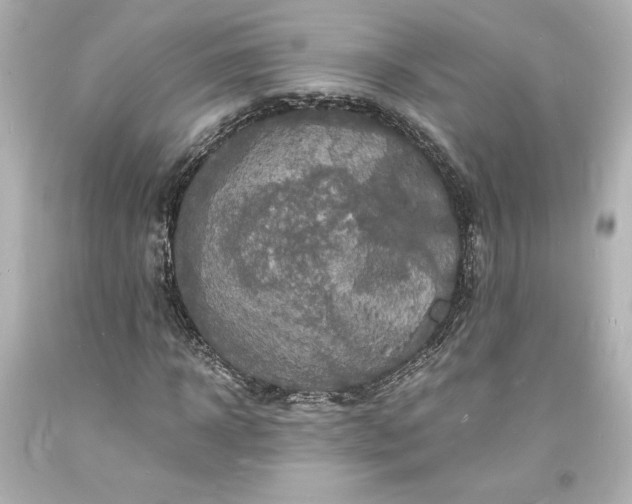 X0000094060918200711021442