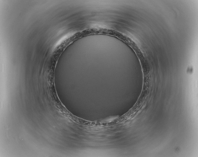 X0000094060919200711021442