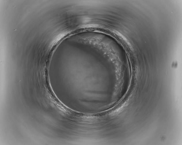 X0000094060921200711021442
