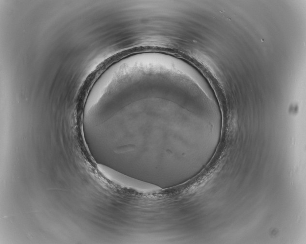 X0000094060923200711021442