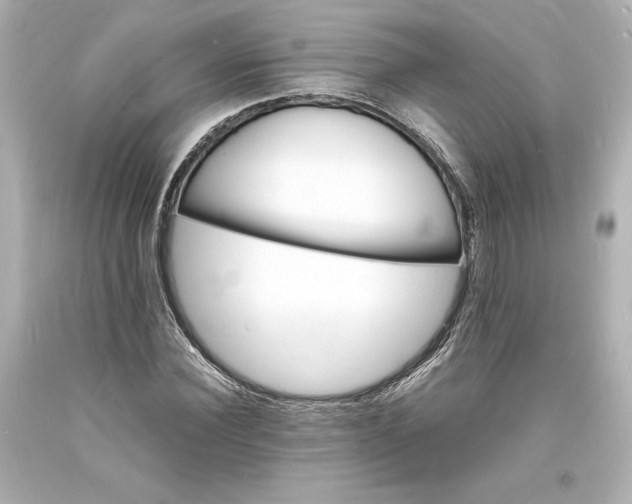 X0000094060924200711021442
