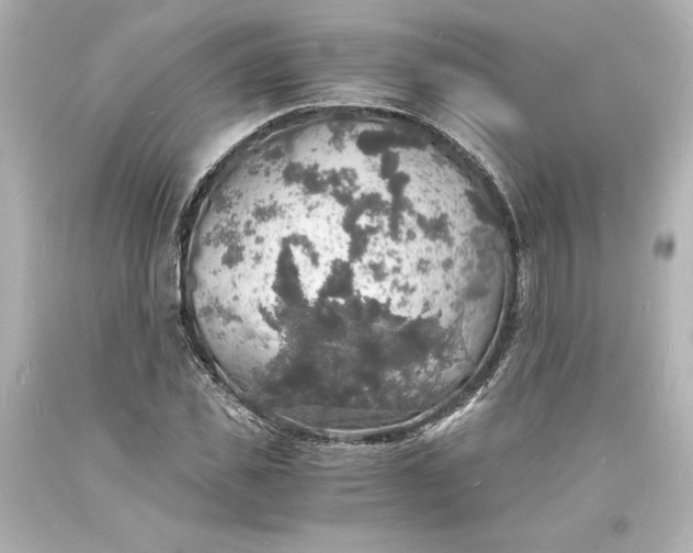 X0000094060925200711021442