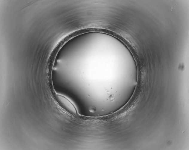 X0000094060926200711021442
