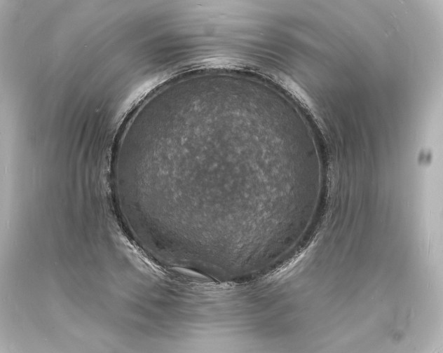 X0000094060930200711021442