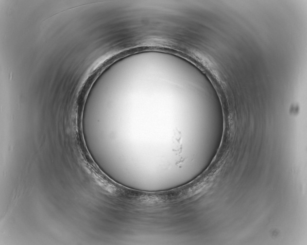 X0000094060931200711021442