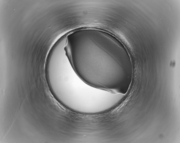 X0000094060932200711021442
