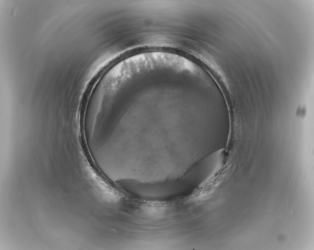 X0000094060935200711021442