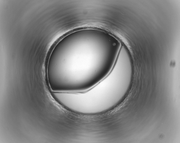 X0000094060936200711021442
