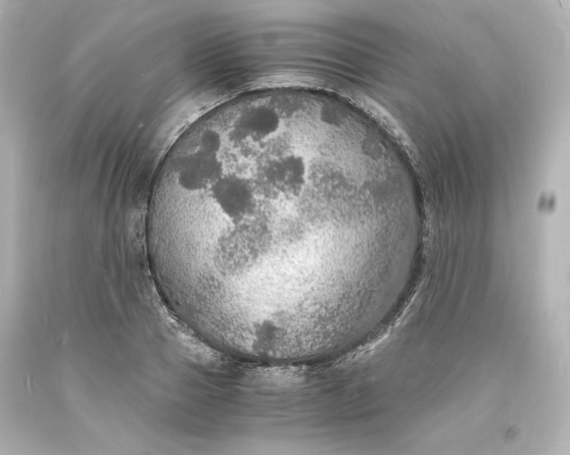 X0000094060937200711021442