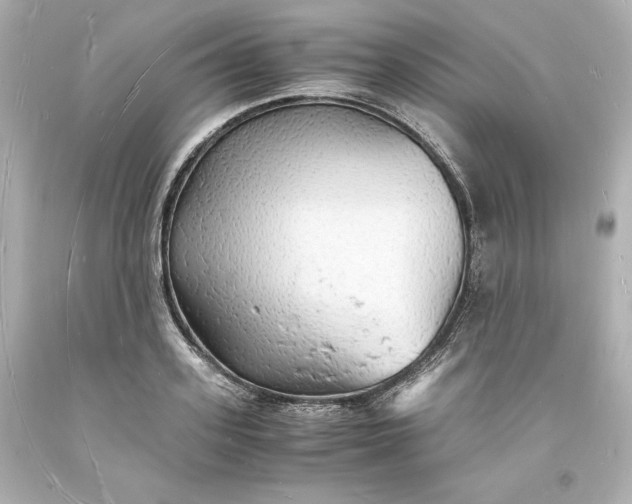 X0000094060939200711021442