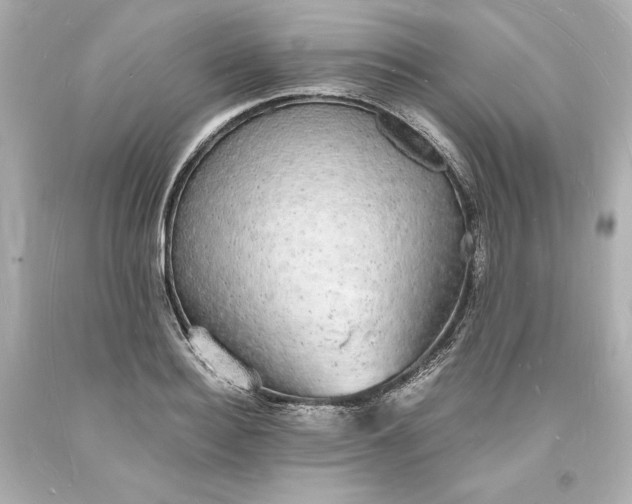X0000094060940200711021442
