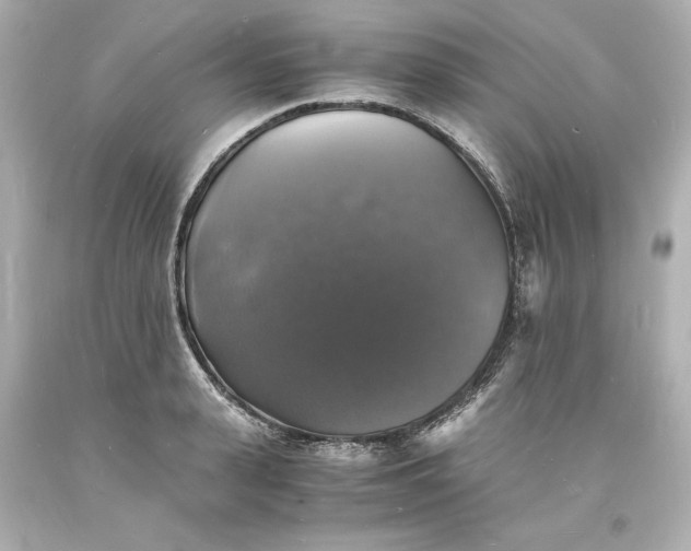 X0000094060943200711021442