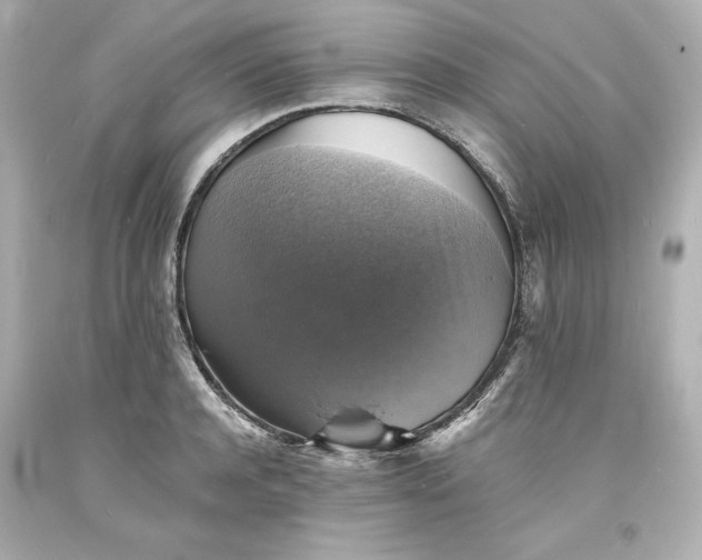 X0000094060944200711021442