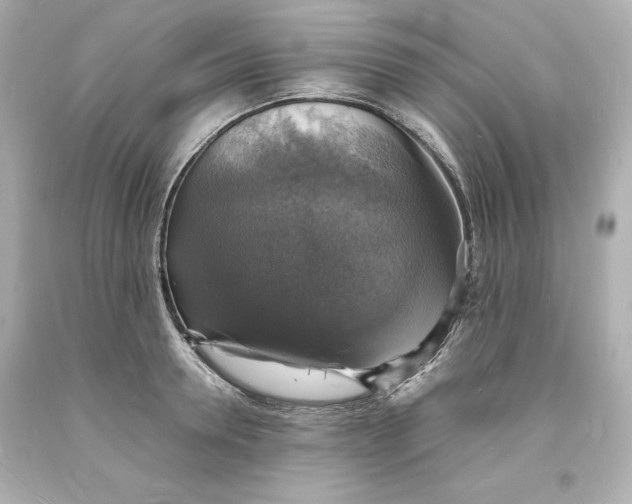 X0000094060946200711021442