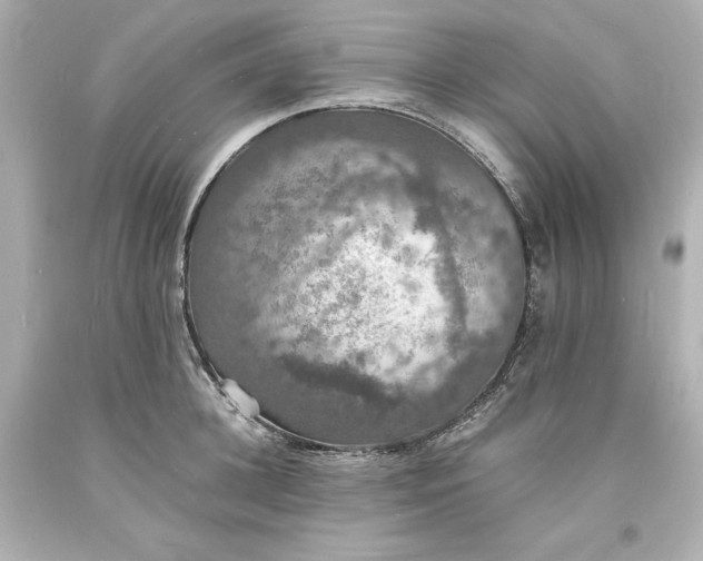 X0000094060948200711021442