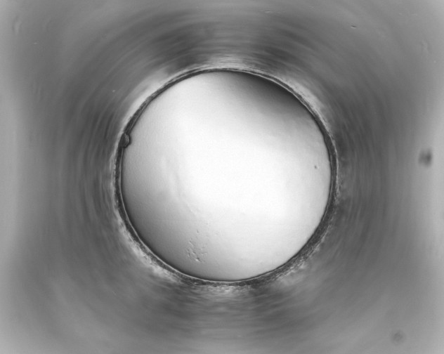 X0000094060949200711021442