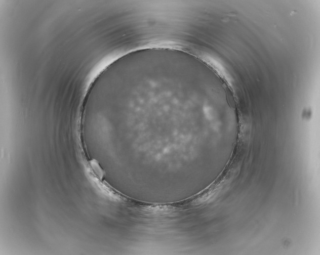 X0000094060952200711021442